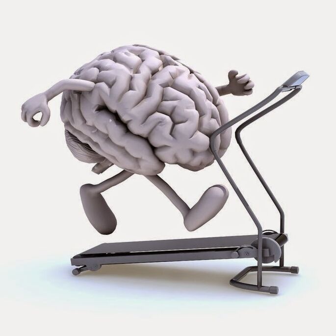 Para o desenvolvemento do cerebro necesitas unha boa nutrición
