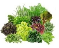 Vitaminas B9 B9 para o cerebro